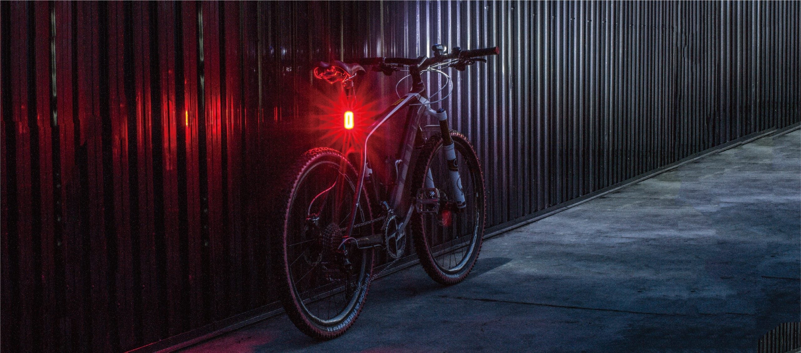Camp Light – moonsport store